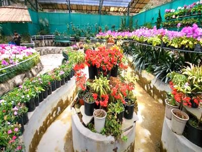 Flower Exhibition Center Gangtok