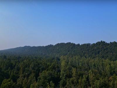 Kalesar National Park