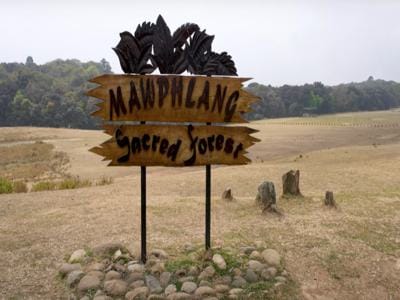 Mawphlang Sacred Forest