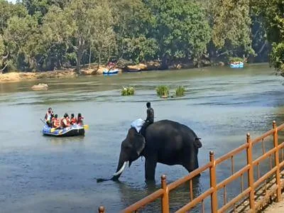 Dubare Elephant Camp