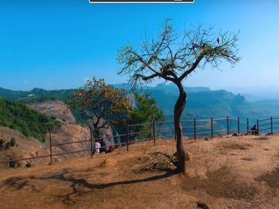 Tiger point