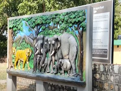 Rajaji National Park