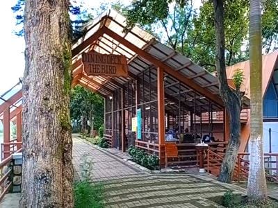Bird Sanctuary