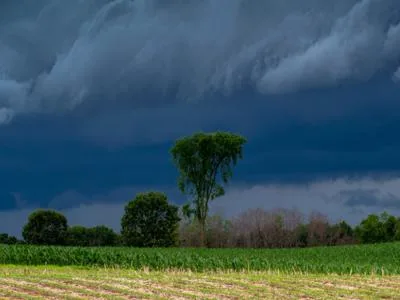 Monsoon