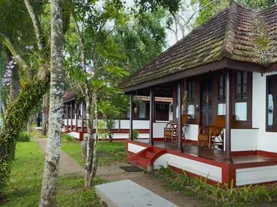 Coconut Lagoon