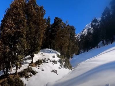 Best Time to Visit Manali for Snowfall