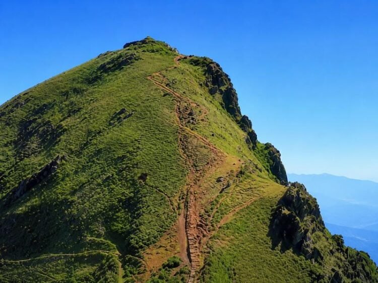 Best solo trip destinations in India for budget and adventure travelers