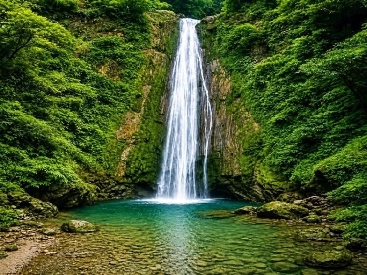Beautiful view of Tiger Falls Chakrata surrounded by lush green forest