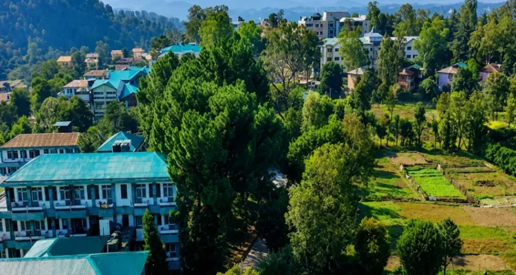 Beautiful view of Kangra Himachal valley with mountains and greenery