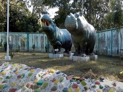 Nahan Suketi Fossil Park