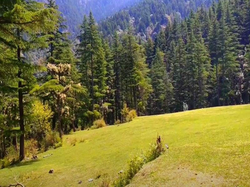Nargu Wildlife Sanctuary Himachal Pradesh