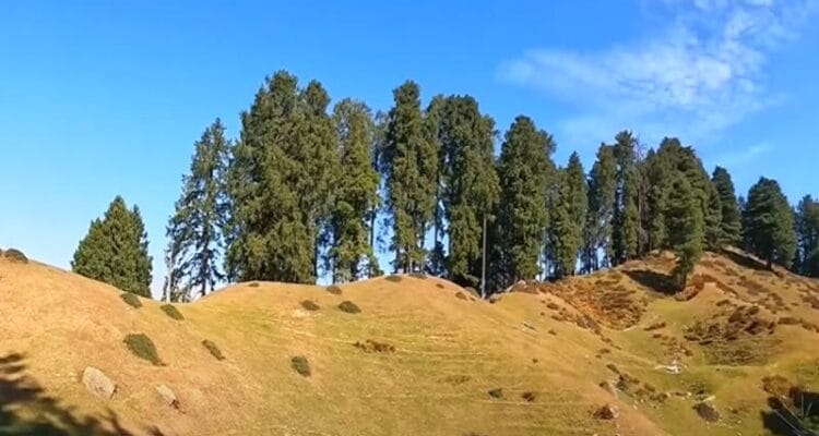 how to reach chakrata from delhi