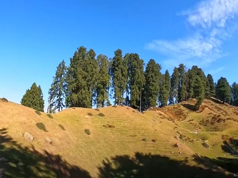how to reach chakrata from delhi