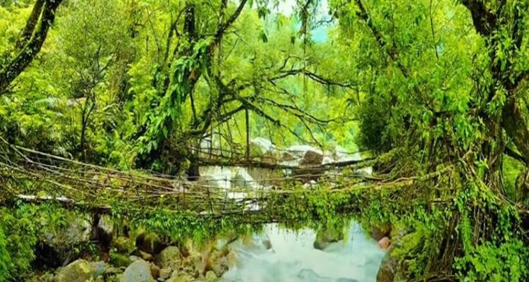 how to reach shillong from delhi