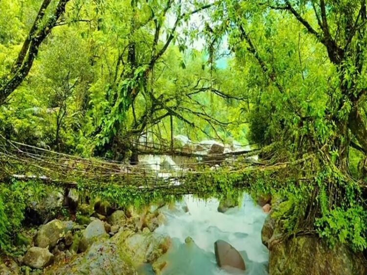 how to reach shillong from delhi
