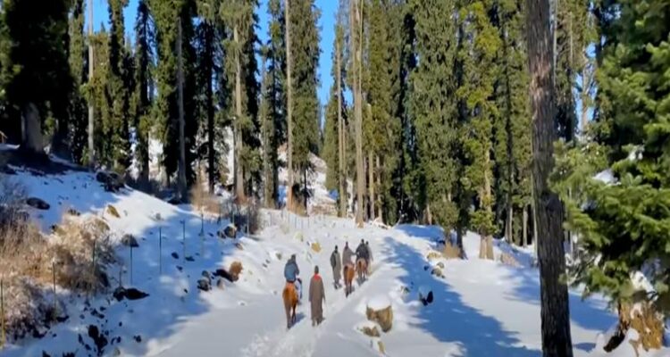 How To Reach Kashmir From Delhi