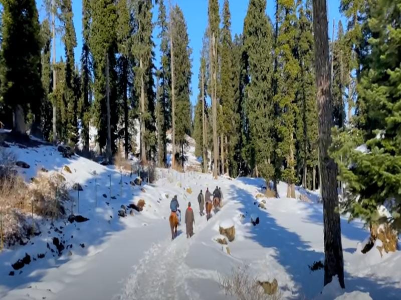 How To Reach Kashmir From Delhi