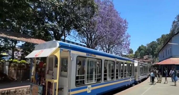 How to Reach Ooty from Delhi