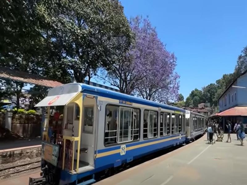 How to Reach Ooty from Delhi