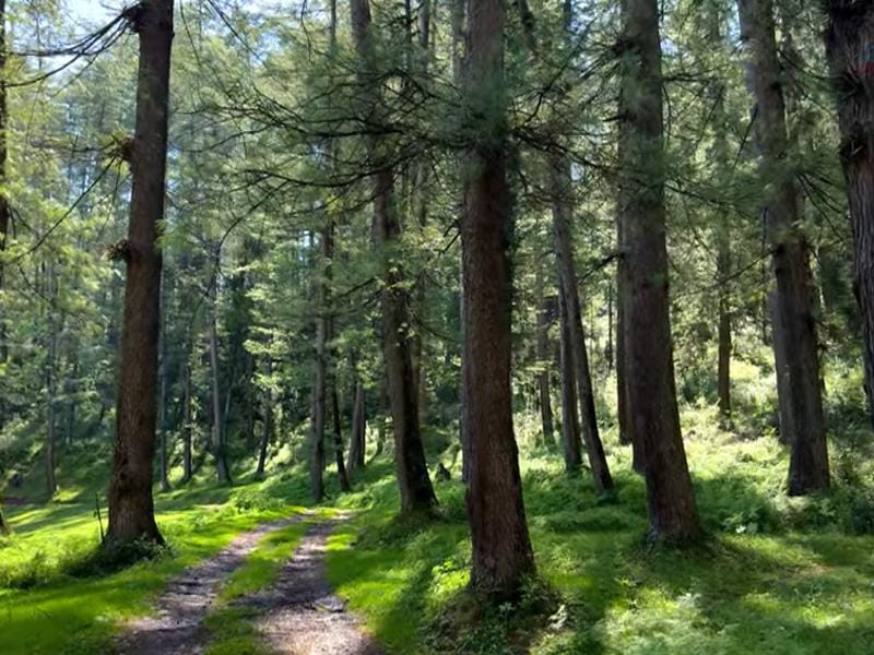 Chail Wildlife Sanctuary