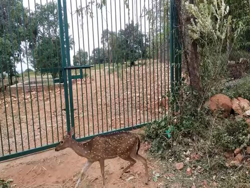 Deer Park Tirupati
