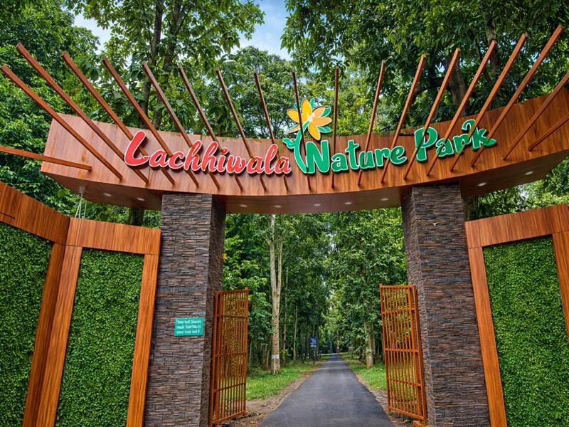 Lachhiwala Nature Park