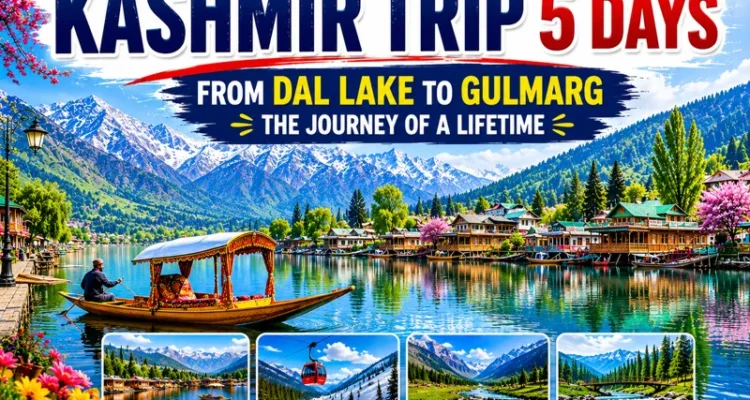 Kashmir Trip 5 Days with Dal Lake, Gulmarg and Pahalgam